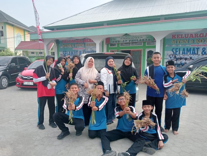 Panen di Kebun Obat, Siswa MTsN 2 Kota Jambi Sulap Bangle Jadi Cuan