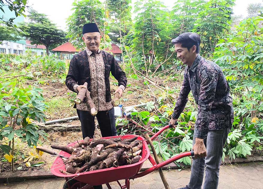 Panen di Madrasah: Ketika Lahan Kosong Menjadi Ladang Berkah Panen di Madrasah: Ketika Lahan Kosong Menjadi Ladang Berkah