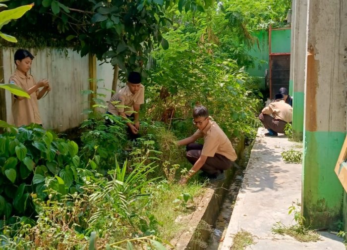 Aksi Para Duta: Merawat Kebun dan Belajar Wirausaha