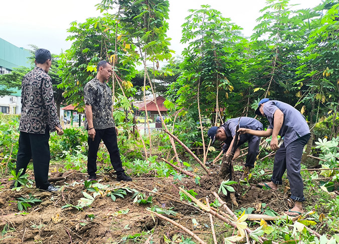 Jejak Hijau MASANDA: Lahan Kosong Disulap Jadi Kebun Produktif