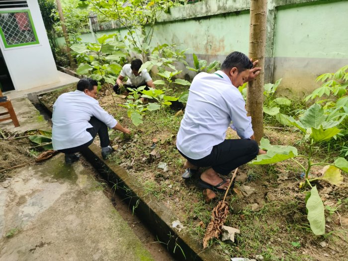 Lahan Kosong Disulap Jadi Kebun, Tendik Rajin Rawat Tanaman Lahan Kosong Disulap Jadi Kebun, Tendik Rajin Rawat Tanaman