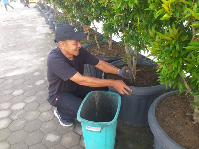 Inisiatif Mandiri Tendik P3K: Wujudkan Nilai Peduli Lingkungan dalam Jargon masandaPINTAR Inisiatif Mandiri Tendik P3K: Wujudkan Nilai Peduli Lingkungan dalam Jargon masandaPINTAR